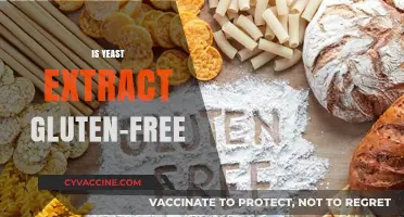 Is Yeast Extract Gluten-Free? A Clear Answer for Dietary Needs