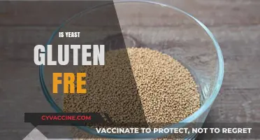 Is Yeast Gluten-Free? Unraveling the Truth for Your Diet