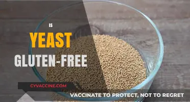 Is Yeast Gluten-Free? Understanding Its Role in a Gluten-Free Diet