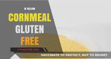 Is Yellow Cornmeal Gluten-Free? A Clear Answer for Your Diet