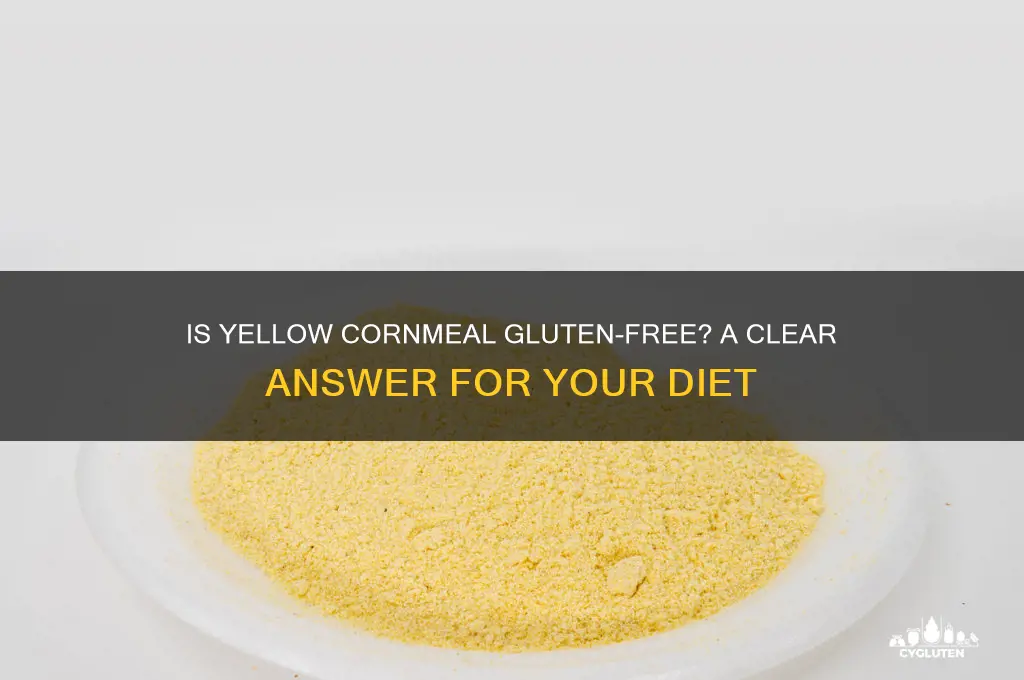 is yellow cornmeal gluten free