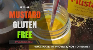Is Yellow Mustard Gluten-Free? A Complete Guide for Celiac Sufferers