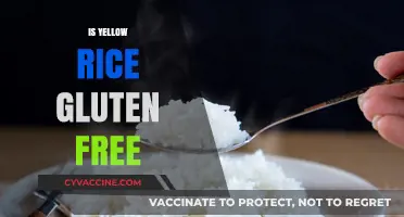 Is Yellow Rice Gluten Free? A Complete Guide for Celiacs
