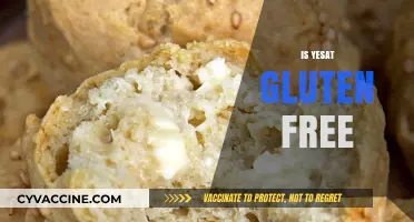 Is Yesat Gluten-Free? Unraveling the Truth About This Popular Dish