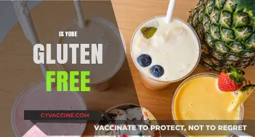 Is Yobe Gluten-Free? Exploring the Frozen Yogurt Brand's Options