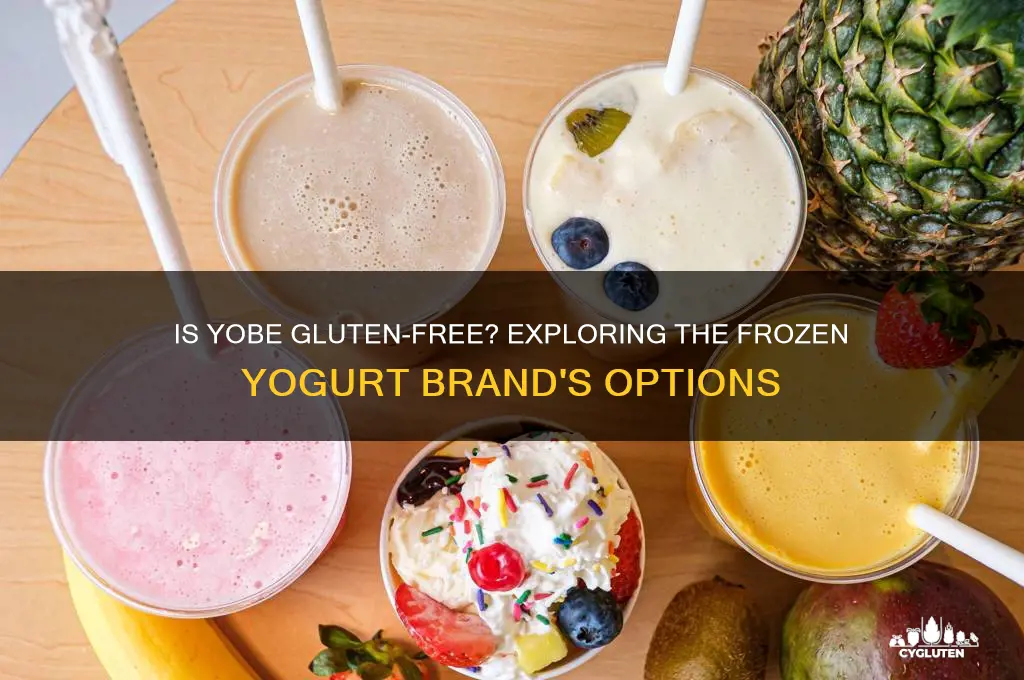 is yobe gluten free
