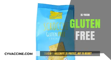 Is Yochi Gluten-Free? Unraveling the Truth About This Snack