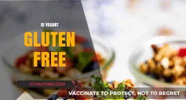 Is Yogurt Gluten-Free? A Clear Guide for Dietary Needs