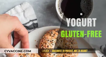 Is Yogurt Gluten-Free? Understanding Ingredients and Cross-Contamination Risks