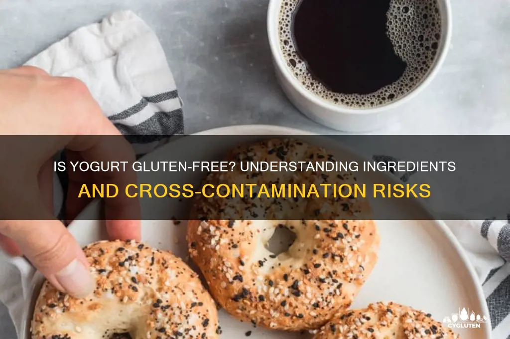 is yogurt gluten-free