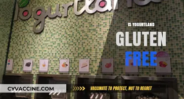 Is Yogurtland Gluten-Free? A Comprehensive Guide to Safe Options