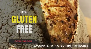 Is Yoli Gluten-Free? A Comprehensive Guide to Yoli Products