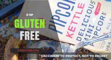 Is Yop Gluten-Free? A Complete Guide to Yop Ingredients