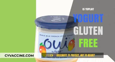 Is Yoplait Yogurt Gluten-Free? A Comprehensive Guide for Celiacs