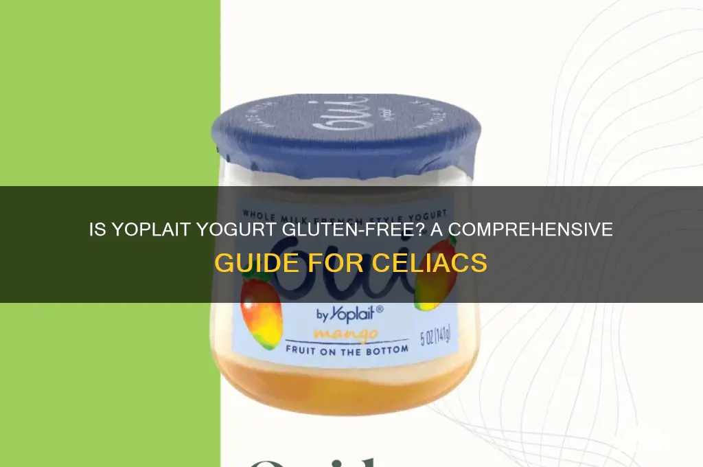 is yoplait yogurt gluten free