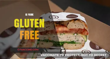 Is York Gluten-Free? Exploring the City's Celiac-Friendly Options