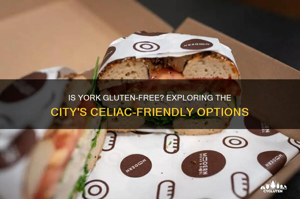is york gluten free
