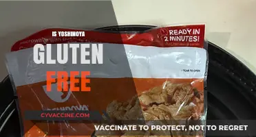 Is Yoshinoya Gluten-Free? Exploring Menu Options for Celiac Diners