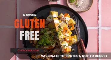 Is Youfoodz Gluten-Free? Exploring Meal Options for Celiac Diets