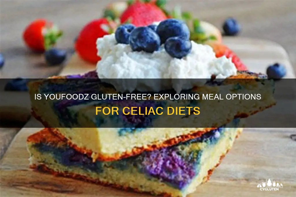 is youfoodz gluten free