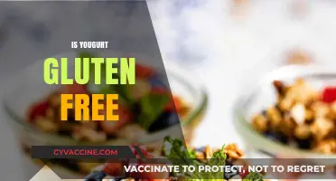 Is Yogurt Gluten-Free? A Comprehensive Guide to Safe Dairy Choices