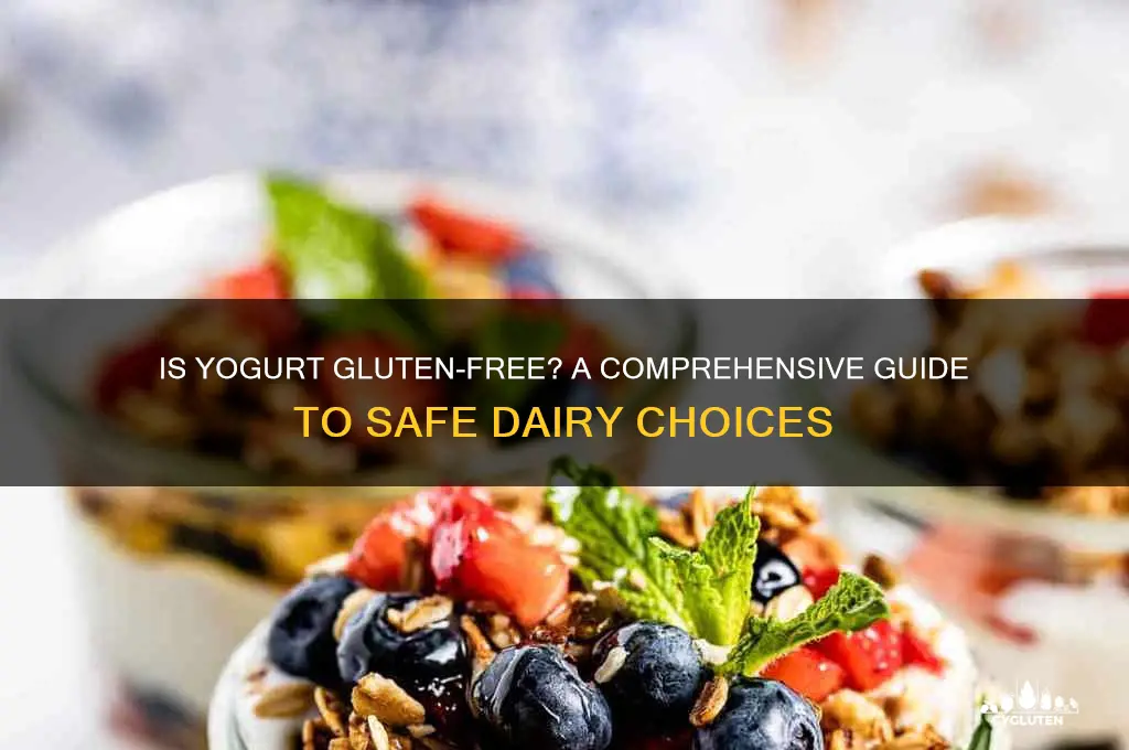 is yougurt gluten free