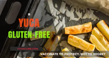 Is Yuca Gluten-Free? Discover the Truth About This Root Vegetable