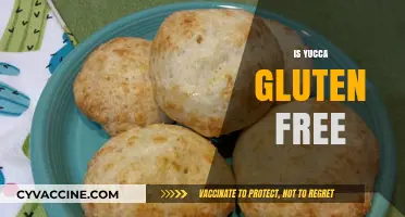 Is Yucca Gluten-Free? A Comprehensive Guide to Yucca and Celiac Diets