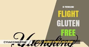 Is Yuengling Flight Gluten-Free? A Beer Lover's Guide