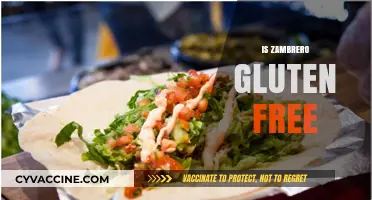 Is Zambrero Gluten-Free? Exploring Menu Options for Celiac Diners