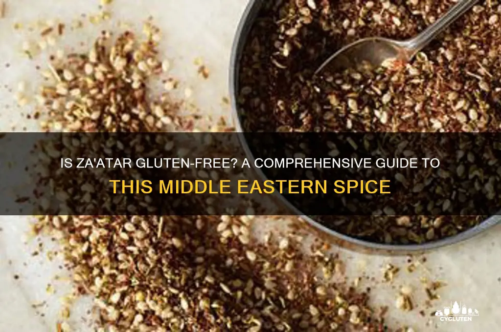is zataar gluten free