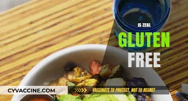Is Zeal Gluten-Free? A Complete Guide to Its Ingredients