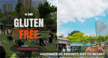 Is ZenB Gluten-Free? Uncovering the Truth About This Popular Food Brand