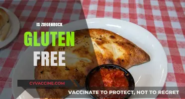 Is Ziegenbock Gluten-Free? Uncovering the Truth About This Popular Beer