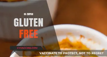 Is Zupoo Gluten-Free? A Comprehensive Guide to Its Ingredients