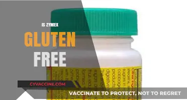 Is Zymex Gluten Free? A Comprehensive Guide to Your Dietary Needs