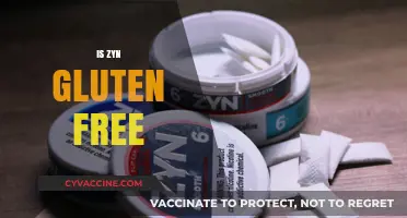 Is Zyn Gluten-Free? Uncovering the Truth for Celiac Consumers