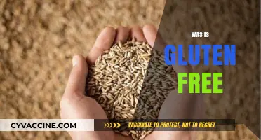 Is War Gluten-Free? Exploring Historical Diets and Modern Misconceptions