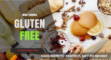 Understanding the Reasons Behind the Rise of Gluten-Free Diets