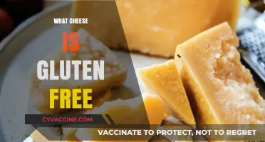 Gluten-Free Cheese Guide: Safe, Delicious Options for Celiac Diets
