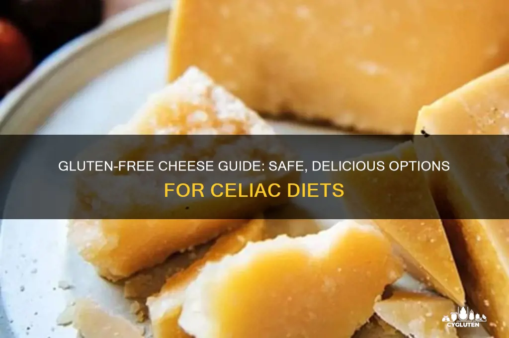 what cheese is gluten free