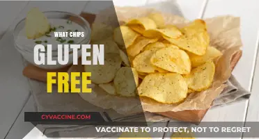 Discover Gluten-Free Chips: Your Ultimate Snack Guide for Celiac Diets