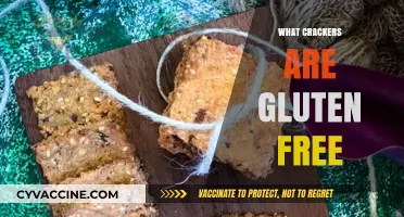 Discover Gluten-Free Crackers: Healthy, Tasty Snack Options for Your Diet