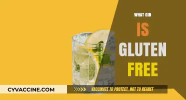 Discover Gluten-Free Gin Options: A Guide to Safe Spirits