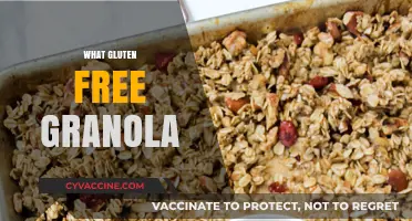 Discover the Best Gluten-Free Granola Options for a Healthy Breakfast