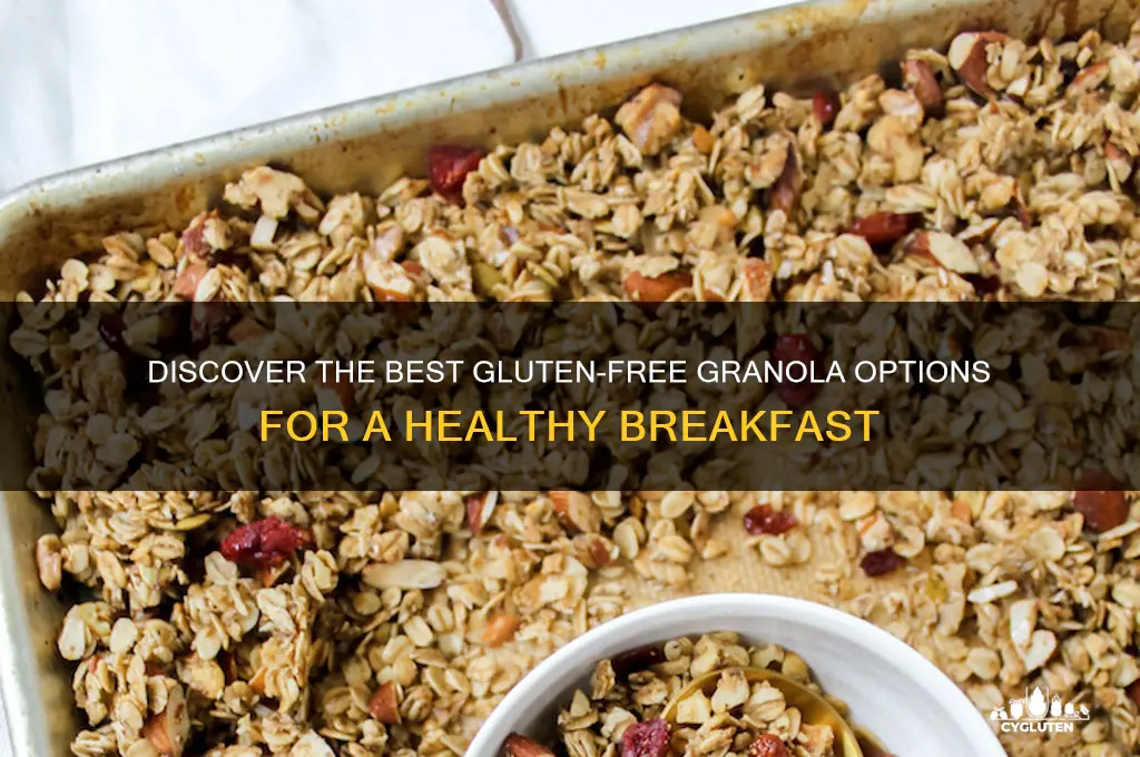 what gluten free granola