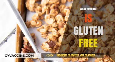 Discover Gluten-Free Granola Options for a Healthy Breakfast Choice