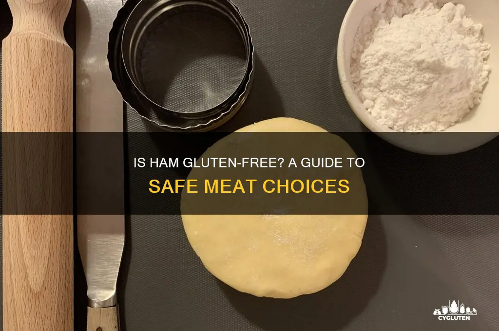 what hams gluten free
