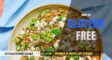 Understanding Gluten-Free Diets: Benefits, Foods, and Lifestyle Changes
