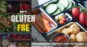 Understanding Gluten-Free Diets: Benefits, Basics, and Delicious Options